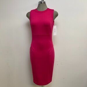 NEW Calvin Klein Elegant Sleeveless Cerise Pink Sheath Dress